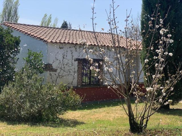 Hotel El Pueblo De Leo Badajoz Exterior foto